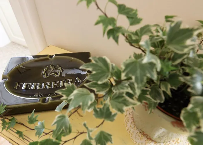 Flh Almada Cozy With View *