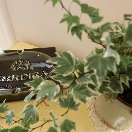 Flh Almada Cozy With View *